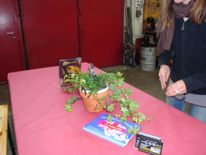 DSC02173.JPG
