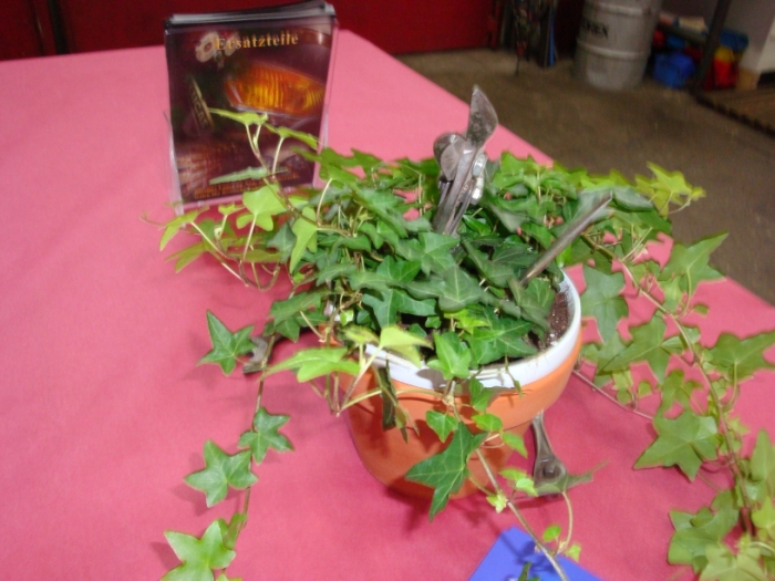 DSC02174.JPG
